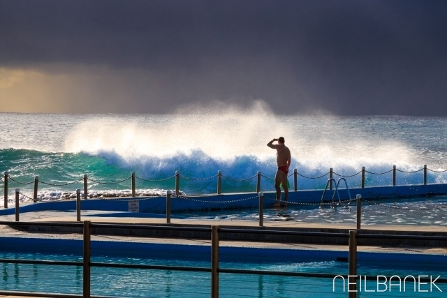 Surf Dee Why_2016_03_22_254.jpg