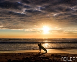 Dee Why Longboarder watching the Sunrise