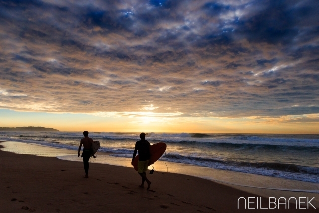 Surfers beautiful sunrise Dee Why beach