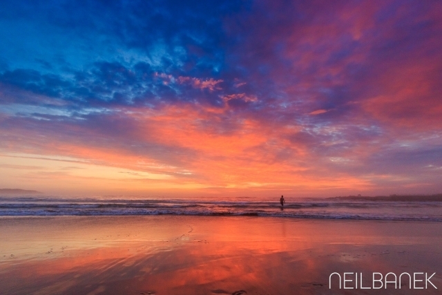 Purple 'n Pink Reflections - Dee Why Beach