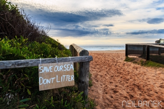 Save Our Sea's - Dee Why Beach