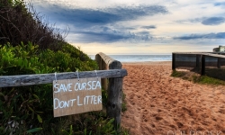 Save Our Sea's - Dee Why Beach