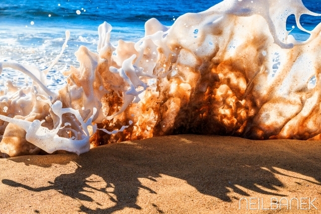 Sand Monster - North Narrabeen