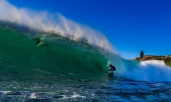 Surf Dee Why_2016_03_23_0370-Edit.jpg