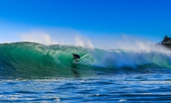 Surf Dee Why_2016_03_23_0433.jpg