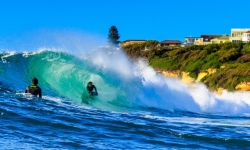 Surf Dee Why_2016_03_23_0546.jpg