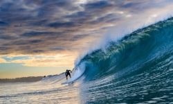 Surfing a perfect wave - Dee Why