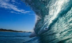 Surf Dee Why_2016_03_24_589-Edit.jpg