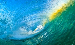 NeilBanek_2020_03_10_101