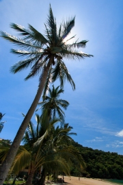 Santa Catalina Beach