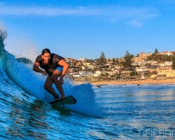 Surf Dee Why_2016_04_11_334.jpg