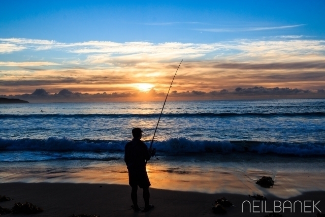 Fishing with seaweed