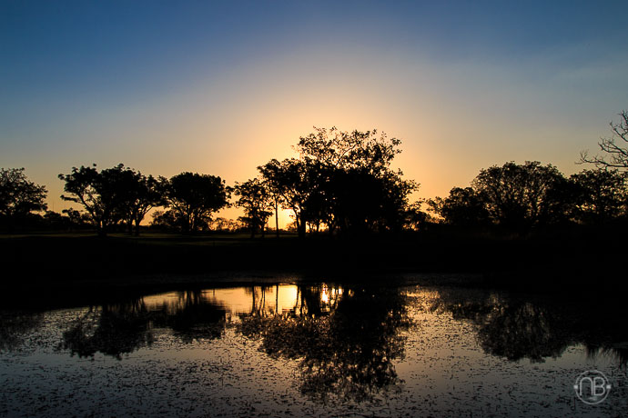 African Sunsets